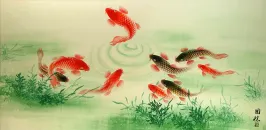 Koi Fish Feeding Chinese Painting