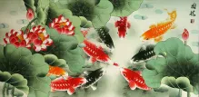 Large Koi Fish and Lotus Asian Art