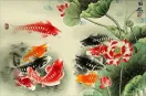 Koi Fish and Lotus Flower Colorful Chinese Art Painting