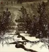 Lucky Snow<br>Supremely Auspicious<br> Cranes Landscape Painting