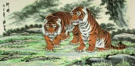 Invincible Might Asian Tigers Huge Watercolor Painting