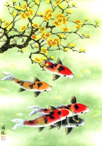 Koi Fish & Plum Blossoms - Chinese Scroll close up view