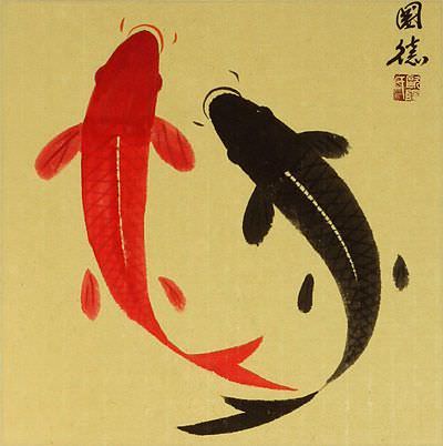 Yin Yang Koi Fish Asian Scroll close up view