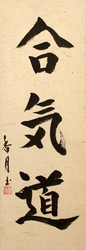 Aikido Japanese Kanji Wall Scroll close up view