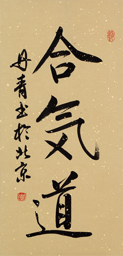 Aikido Japanese Kanji Character Scroll close up view
