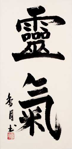 Reiki - Japanese Kanji Wall Scroll close up view