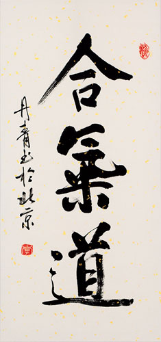 Hapkido Japanese Kanji and Korean Hanja Scroll close up view