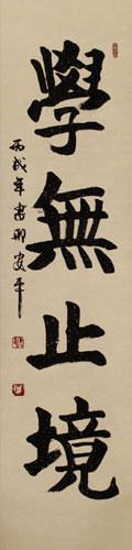 LEARNING is ETERNAL Philosophy Wall Scroll close up view
