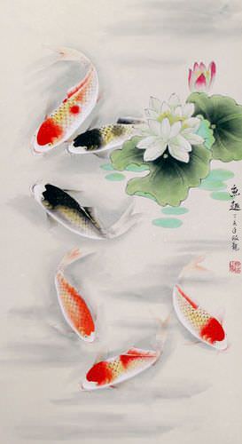 Koi Fish Having Fun in Lotus Pond Wall Scroll close up view