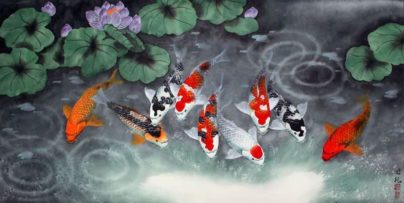 Koi Fish Feeding Time Painting