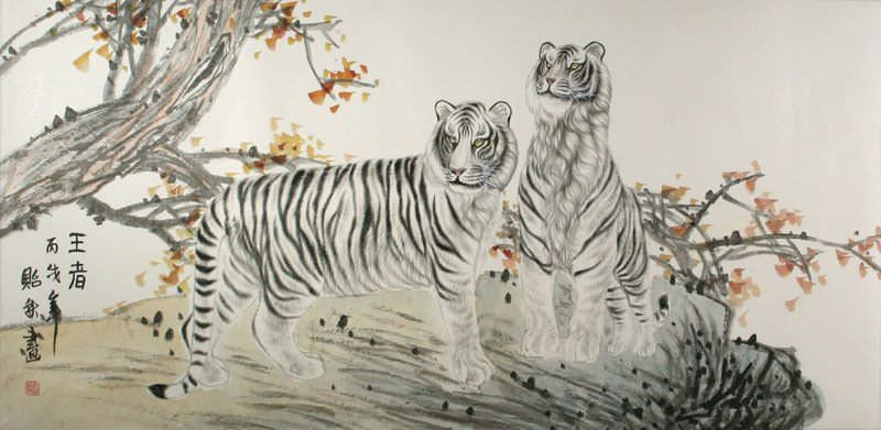 Chinese White Tigers on Alert