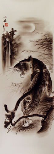 Black & White Tiger Drawing